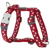 Red Dingo - Petral style