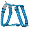 Red Dingo Harnais Pour Chien Style Star