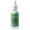 Ere Perez Quandong Green Booster Serum Serum