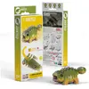 Non communiqué EUGY EUGY 3D - Ankylosaurus.