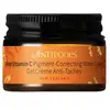 Antipodes Daily Ultra Care Diem Vitamin C Pigment-Correcting Water Cre...