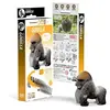Non communiqué EUGY EUGY 3D - Gorilla.