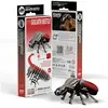 Fat Brain Toys Goliathkäfer Eugy Eco 3D-Puzzle (36 pièces)