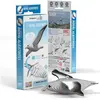 Eugy 097 puzzel 3D-puzzel Dieren