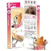 EUGY EUGY 3D - Katten - Pumpkin