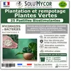 SoluMycor 25 Pastilles Bio-stimulantes, engrais pour Plantation et Rem...