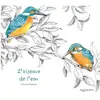 La Poule Qui Pond Z'oiseaux de l'eau