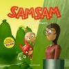 Bayard jeunesse Samsam - La Maîtresse A Disparu