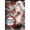 Demon Slayer Tome 22 - Slayer - Collection Demon Slayer - Manga - Volume 22 - Aventure fantastique