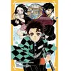 Panini Manga Tanjiro et Nezuko : L'origine de leur destin