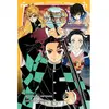 Panini Manga Demon Slayer - Roman jeunesse T02