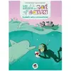 Plongée Avec Les Dauphins