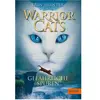 Warrior Cats 05. Des traces dangereuses, Livre pour enfants