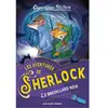Albin Michel Jeunesse Le brouillard noir: Les aventures de Sherlook - tome 2