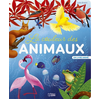 Lito La Couleur Des Animaux