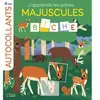 Lito J'apprends les lettres majuscules Dans la forêt