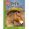 Fleurus Galop dans les plaines