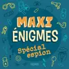 Fleurus Maxi énigmes Spécial espion