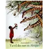 TASCHEN Y A-T-Il Des Ours En Afrique ?
