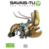 Les homards - Alain M. Bergeron