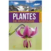 Plantes De Montagne