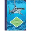 Les Requins - Les Connaitre Pour Les Comprendre