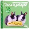 Langue Au Chat Dans le potager