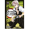 Inconnu Manga - Slayer - Demon Slayer Tome 17 - Collection Demon Slayer - Série Demon Slayer - Tome 17
