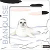 Nathan Banquise