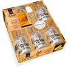 Larousse Coffret Le petit bar des rhums arrangés - Livret 20 recettes - 4 bouteilles en verre