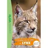 Hachette Jeunesse Wild Immersion - Tome 10 - Expédition Au Pays Des Lynx