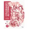 Hachette Heroes Coloriages au symbole