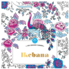 Hachette Pratique Ikebana - Coloriages Anti-Stress