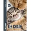 Les Chats - Un Poster Inclus !