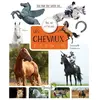 Grenouille Les chevaux