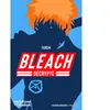 Bleach DÃ©cryptÃ©