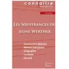 Du Cenacle Editions Les Souffrances Du Jeune Werther - Fiche De Lecture