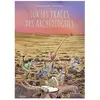 Steinkis Sur Les Traces Des Archéologues