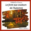 La Forêt Aux Couleurs De L'automne