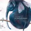 Pere Fouettard Editions J'ai rêvé d'un éléphant
