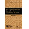Les Transformations Du Verbe Être Par Temps De Pluie