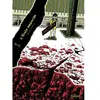 Glénat Seinen Manga