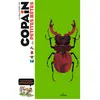 Editions Milan Copain Des Petites Bêtes