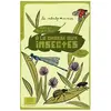 A La Chasse Aux Insectes