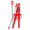 Gaspo Skis Alpins