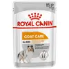 Croquettes Chien Coat Care Mousse Chien Toute Taille Pelage Terne