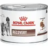 12x195g Recovery Royal Canin Veterinary Diet - Pâtée pour chien