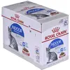ROYAL CANIN Indoor Sterilised, Collations Dans Sauce, Boîte 12 x 85 Gr