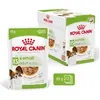 12x85g Royal Canin X-Small Adult en sauce pour chien
