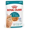 12x85g Ageing 11+ en gelée Royal Canin nourriture humide pour chat